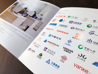雄宇集團企業(yè)畫冊策劃設(shè)計 博邦設(shè)計2018經(jīng)典案例解析